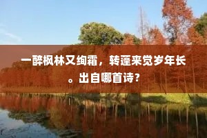 一帘飞絮滚凤团，启朱扉眼花撩乱。出自哪首诗？