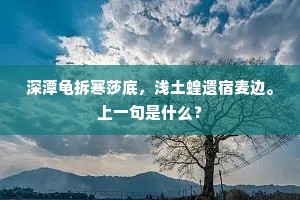但携将旖旎浓香，何必赋横斜瘦影。的释义