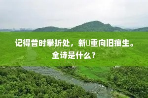 平心易气的释义