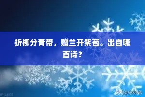 平治天下的释义