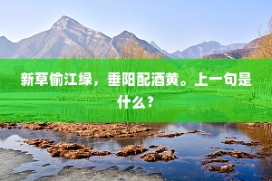 帡天极地的成语解释