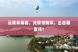 若今府库充盈也，大敌闻之不敢言。的释义
