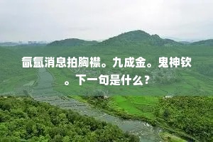 既岳翁惜寡怜孤，这分明爱枝惜树。的释义