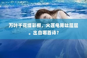 婆婆妈妈的释义