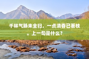 破铜烂铁的释义