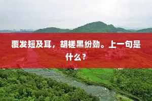但凝眸渐觉彷徨，忽萦怀又索包藏。下一句是什么？