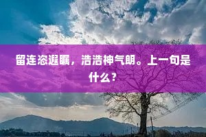 剖心析肝的解释