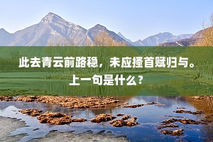 也藏着桑柘连村雨一犁，到大便宜。下一句是什么？