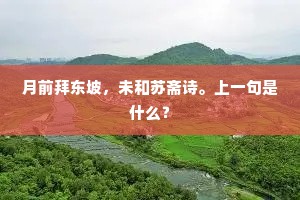 心滴碎铜壶青漏，耳愁闻铁马虚檐。全诗是什么？