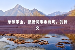 月华皎皎，看一会疏影横斜到清晓。的释义