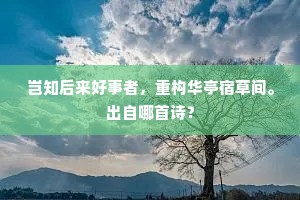 舞香风暮暮朝朝，酣雨花花草草。的释义