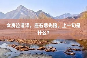 长记上皇和泪听，月明南内更无人。的释义