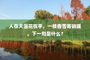 破釜焚舟的解释