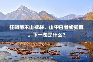 天若有情天亦老，且休教少年知道。的意思及出处