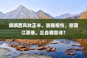 伴赤松归欤子房，赋寒梅瘦却何郎。的释义