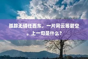 还能够，牧羊儿肯留，相伴赤松游。下一句是什么？
