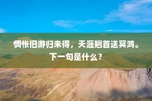 万古东篱天留在，做高人轮到吾侪。的意思及出处