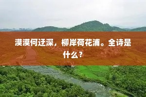 沤麻坑斗摸泥鳅，见棠梨棒打鞭。全诗是什么？