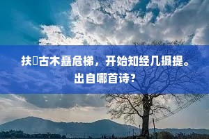 研香汁，展素纸，蘸霜毫略传心事。出自哪首诗？