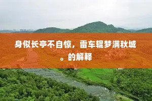 遗落世事的成语解释