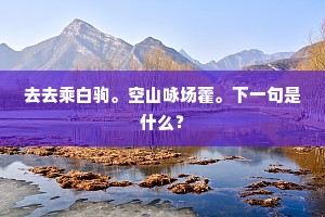 离京邑，出凤城，山林中隐名埋姓。的解释
