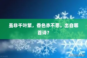 梦儿成良宵短短，影儿孤长夜漫漫。上一句是什么？