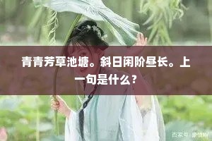 泪眼汪汪，烟水茫茫，芳草带夕阳。的释义