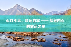 心灯不灭，命运自掌 —— 探寻内心的命运之星