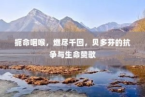 扼命咽喉，燃尽千回，贝多芬的抗争与生命赞歌