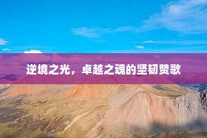 逆境之光，卓越之魂的坚韧赞歌