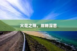 火花之殇，岸畔深思