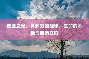 蚕叶纵横，龙甲琮，寒粟玉楼生。的解释