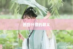 画野分疆的释义