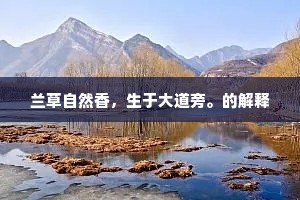 晚风闲，暮云残，鸾笺欲寄雁惊寒。上一句是什么？