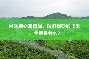 传国争符，伤身行货，谁教献与他？上一句是什么？