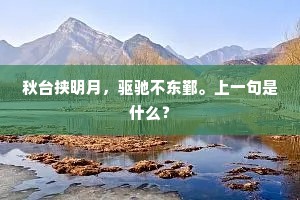 欲铸钟期，黄金无价，知音人既寡。全诗是什么？