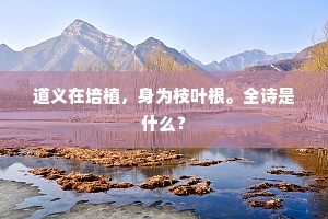 虽道是杀人公事，也落个孝顺名儿。出自哪首诗？