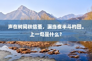 前襟后裾的释义