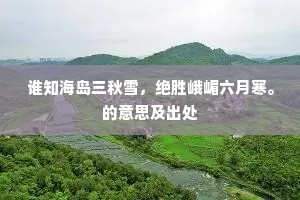 总是当年题诗处，料应来满目荒芜。的释义