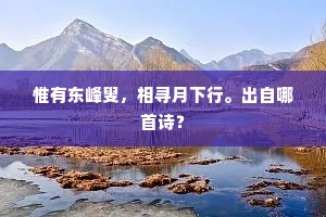 千头万序的成语解释