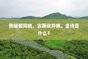 千闻不如一见的成语解释