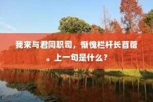 缀黄金菊露，碎绿锦荷花瑟瑟。全诗是什么？