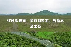 供吐对实同，说了缘由，辨个妍媸。上一句是什么？