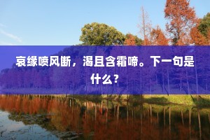 比常夜清光更多，尽无碍桂影婆娑。的意思及出处