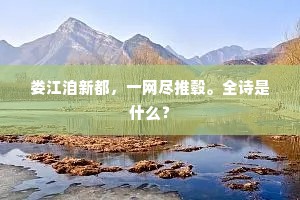 轻世傲物的释义