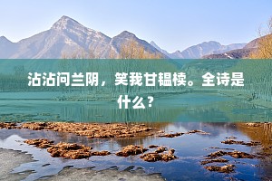 轻繇薄赋的成语解释