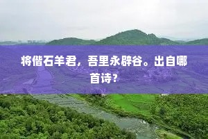 寝不成寐的解释