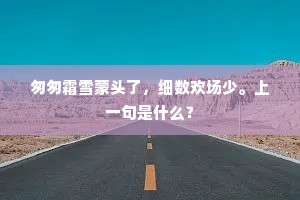 对吴山结个茅庵，画不尽西湖巧处。的意思及出处