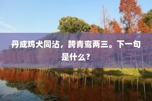 情文并茂的解释