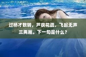 岳阳楼剑气凌云，度老树神仙此处。上一句是什么？